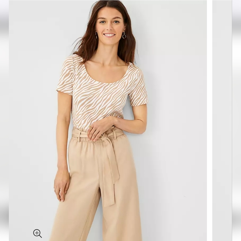 Zebra Stripe Scoop Neck Top Size S NWOT